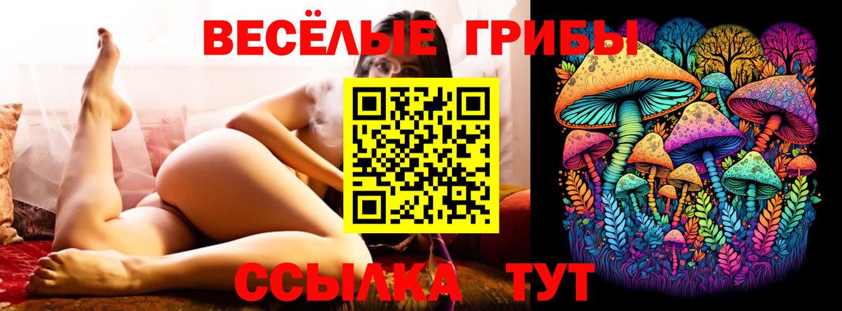 Галлюциногенные грибы мухоморы Минеральные Воды