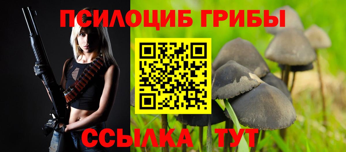 Минеральные Воды  Галлюциногенные грибы Psilocybe  Вход с VPN 